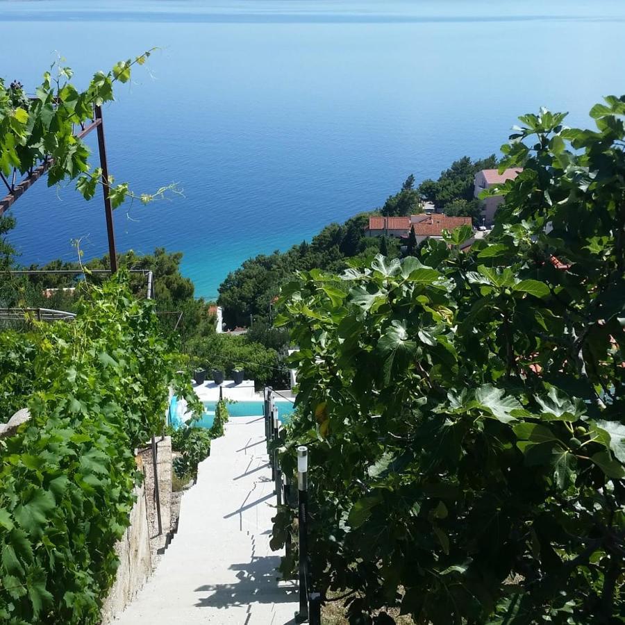 Waterview Apartments Мимице Экстерьер фото